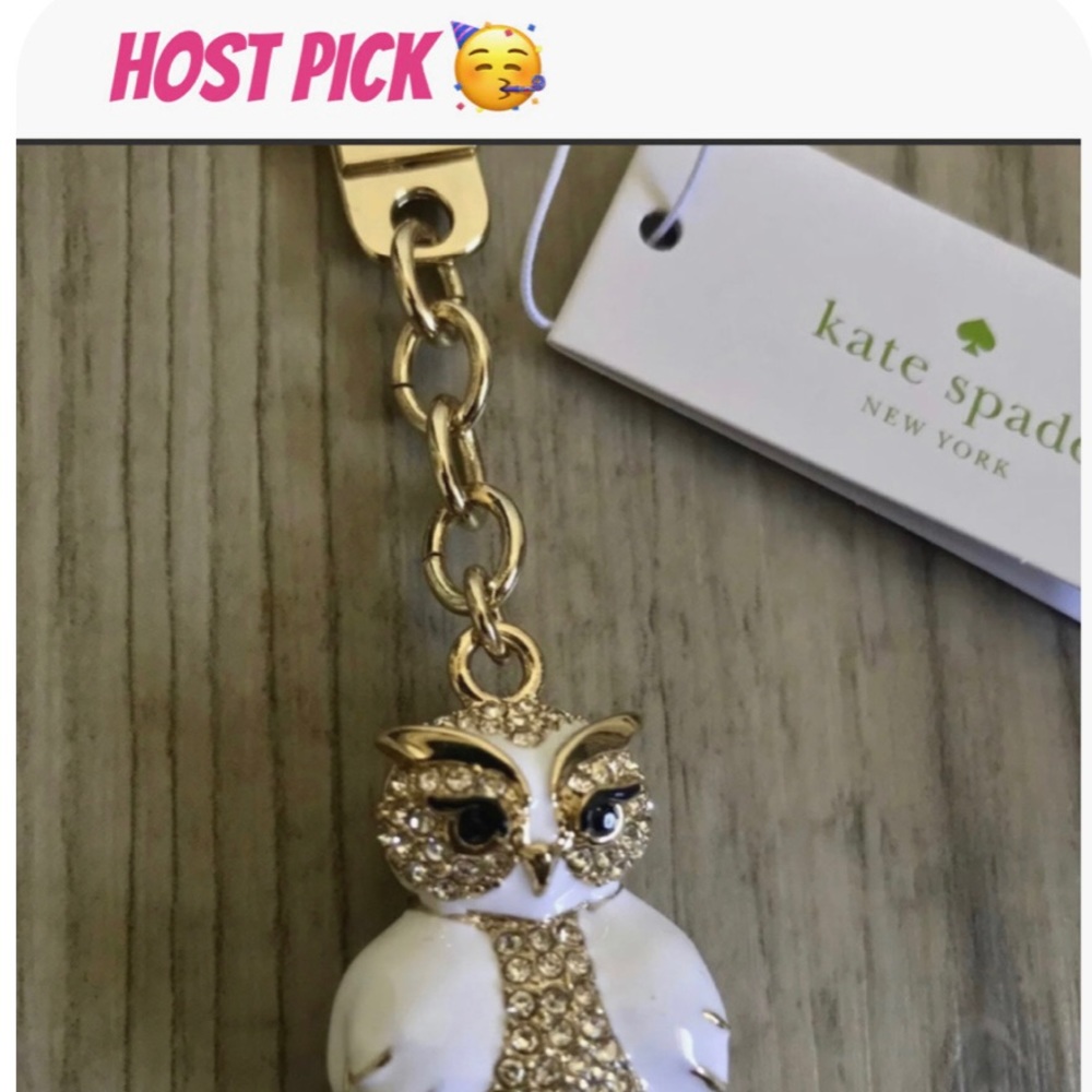 New in box  retired Kate spade into the wood owl bag charm